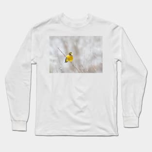 Evening Grosbeak - Algonquin Park Long Sleeve T-Shirt